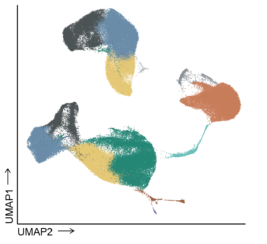 UMAP projection of single-cell transcriptomes